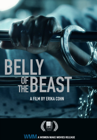 Movie poster for Belly of the Beast